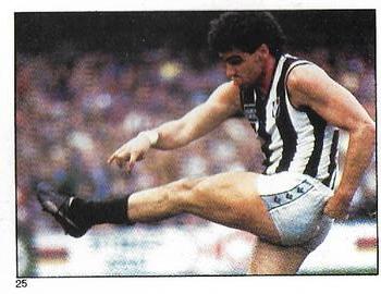 1984 Scanlens VFL Stickers #25 Mark Williams Front
